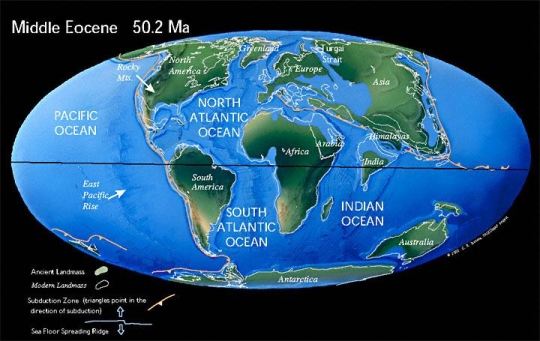Globe