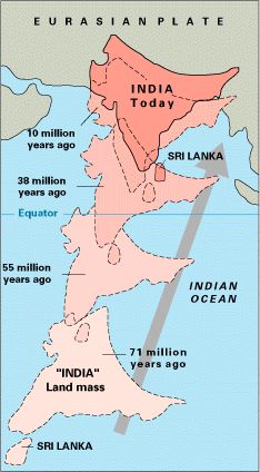 plate tectonics